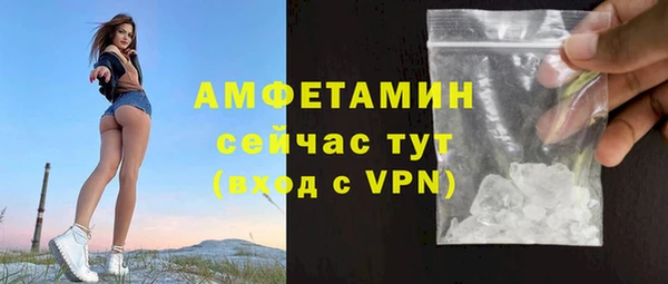 прущие грибы Балахна