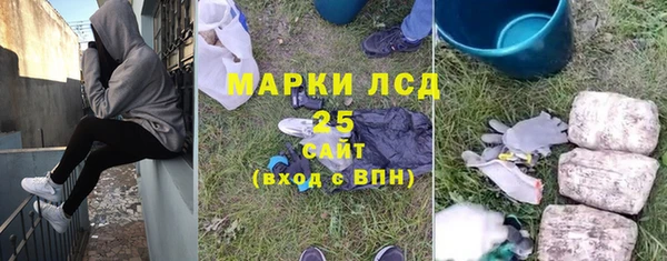 шишки Баксан