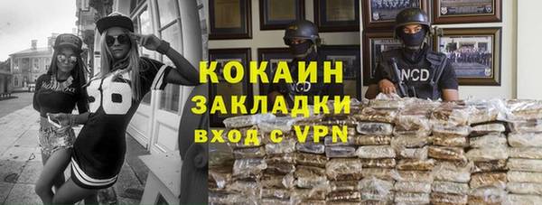 прущие грибы Балахна
