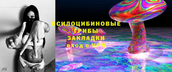прущие грибы Балахна
