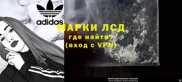прущие грибы Балахна