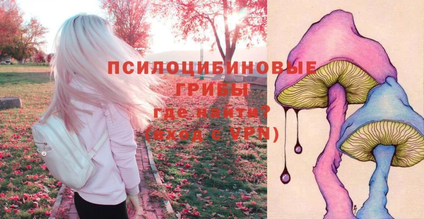 шишки Баксан