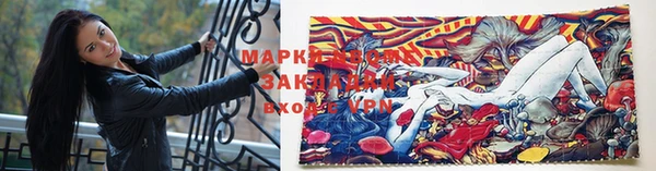 шишки Баксан