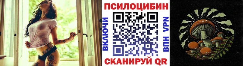 omg вход  нарко площадка состав  Галлюциногенные грибы MAGIC MUSHROOMS  Белый 
